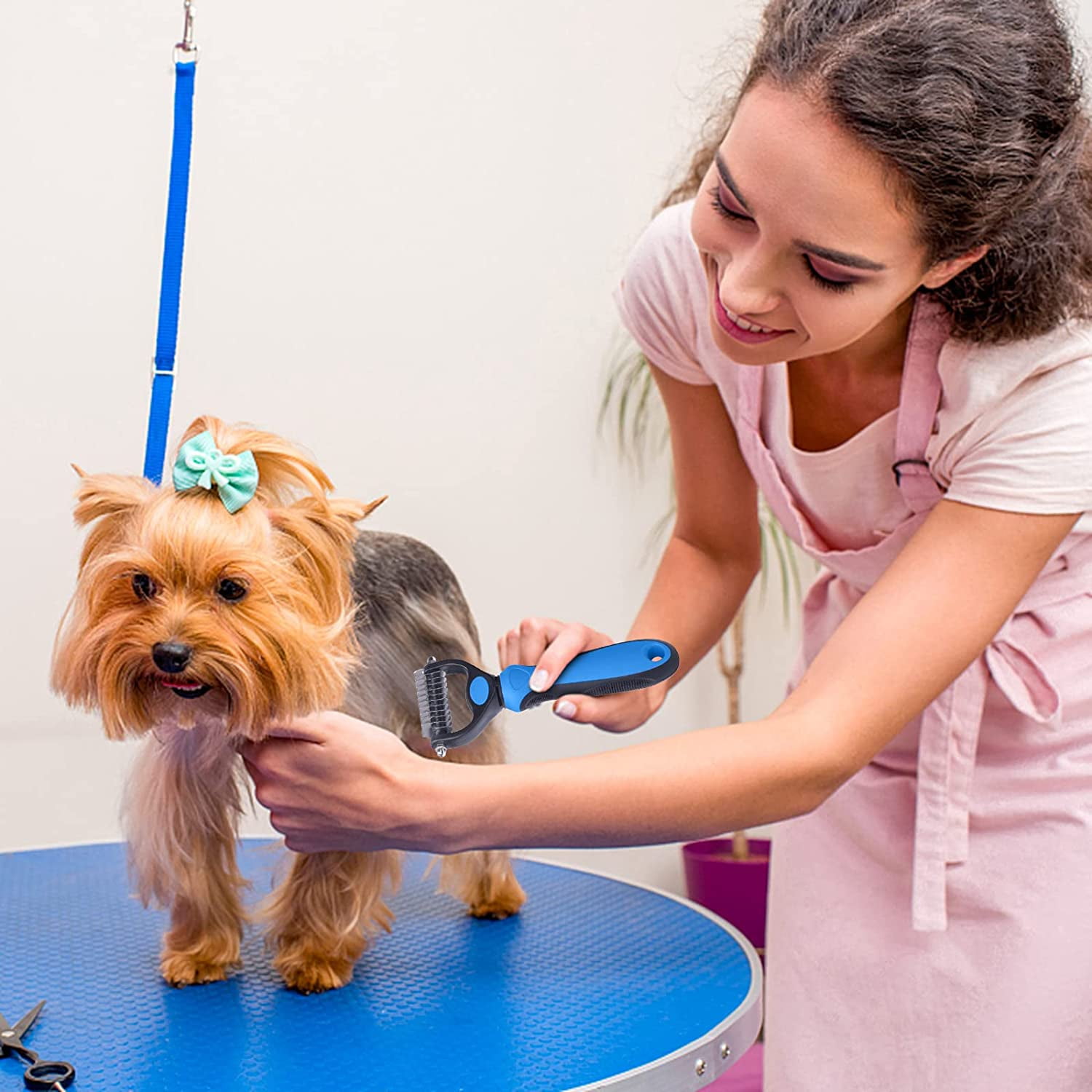 What Is The Purpose Of A Dogs Undercoat