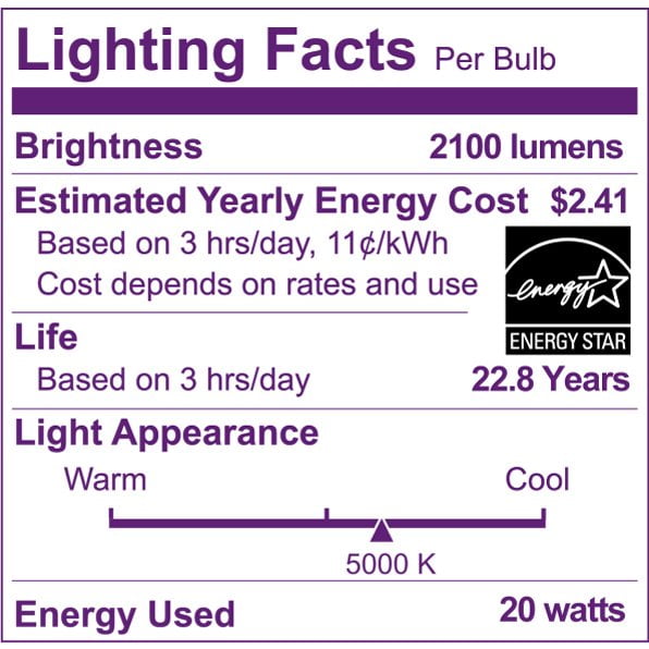 Philips LED 250-Watt PAR38 Directional Reflector Light Bulb, Clear Daylight, Dimmable, E26 Base (1-Pack)
