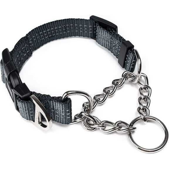 Mighty Paw Martingale Training Dog Collar, Limited Cinch Chain