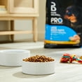 thumbnail image 2 of Pure Balance Pro+ Chicken and Brown Rice Large Breed Puppy Food, 16 lbs, 2 of 9