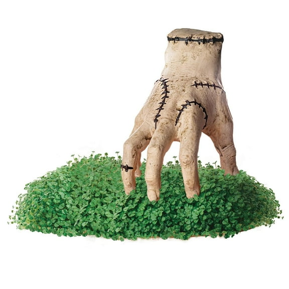 Thing Chia Pet Handmade Decorative Planter by JEI