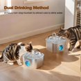 thumbnail image 3 of Fuente de agua Cat HOOISE de acero inoxidable de 3,2 L con ventana, 3 of 9