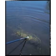 thumbnail image 3 of Midwest Rake 87028 AWE - Aquatic Weed Eradicator, 3 of 8