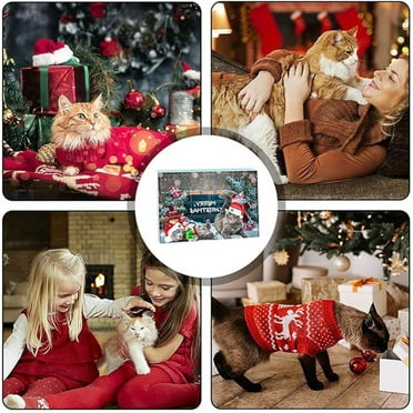 Cat Advent Calendar For Cats With Yoghurt And Catnip Treats By Webbox With Open Window 2rwwnc7