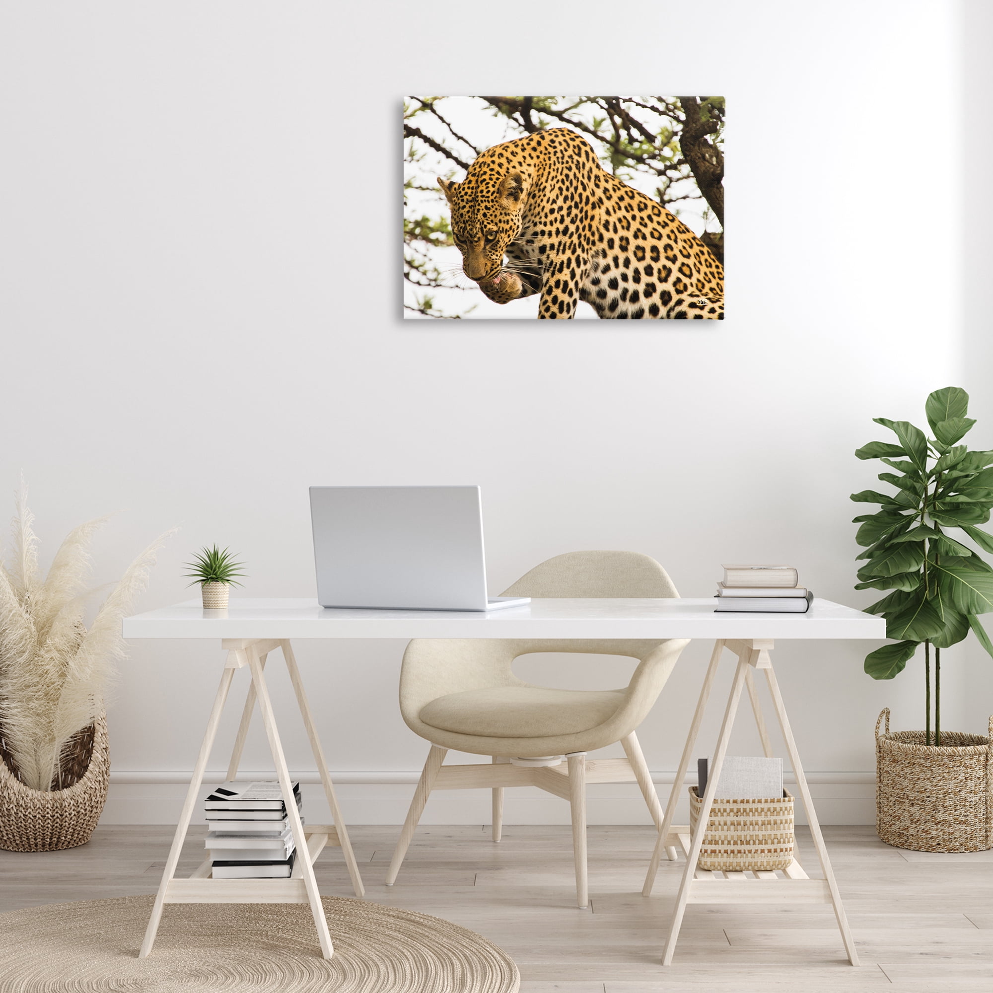 Stupell Industries Leopard After Lunch Animals Photography Wrapped Canvas Art Print Wall Art, 30 x 20