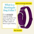 thumbnail image 4 of Country Brook Petz® Martingale Dog Collar - Training Collar with No Buckle (Purple, Large), 4 of 5