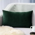 thumbnail image 1 of Panxico Pillow Covers,Decorative Throw Pillow Covers,Super Soft Rectangular Velvet Pillowcase Solid Color Lumbar Pillow Pillowcase,Living Room Decor,Clearance Items, 1 of 2