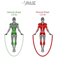 thumbnail image 4 of Pulse Weighted Jump Rope Set With Adjustable Weighted Rope - red, 4 of 5