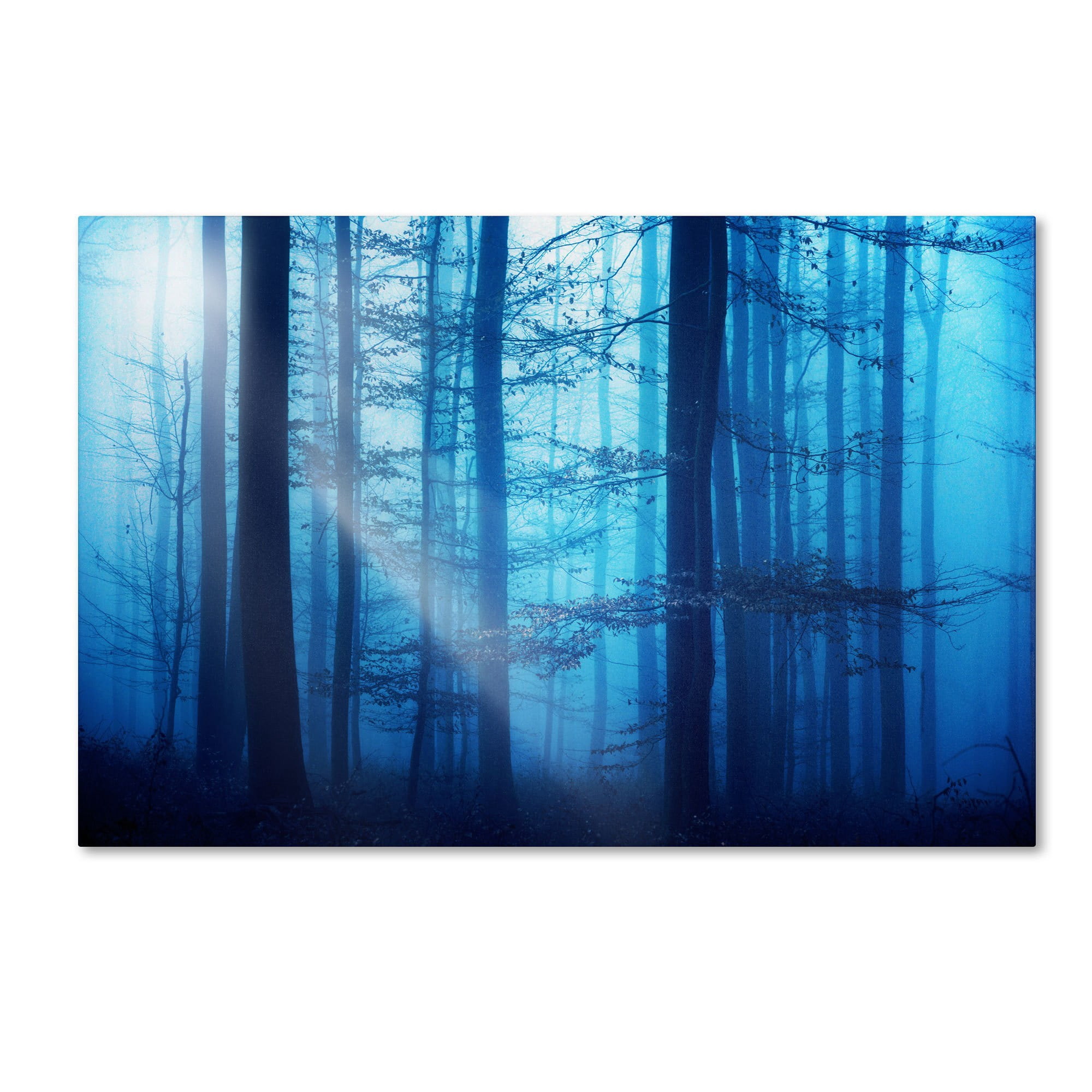 Trademark Fine Art "Light Box Blues" Canvas Art by Philippe Sainte-Laudy