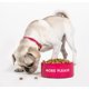 thumbnail image 4 of Plato para Perro Kate Spade New York Rojo y Rosa con Base Antideslizante, 4 of 5