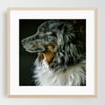 thumbnail image 2 of Pensive Pooch - Bellingham Washington Photography Dog Animal Wildlife Portrait Nature Unframed Wall Art Print 30 x 30 inches, 2 of 9