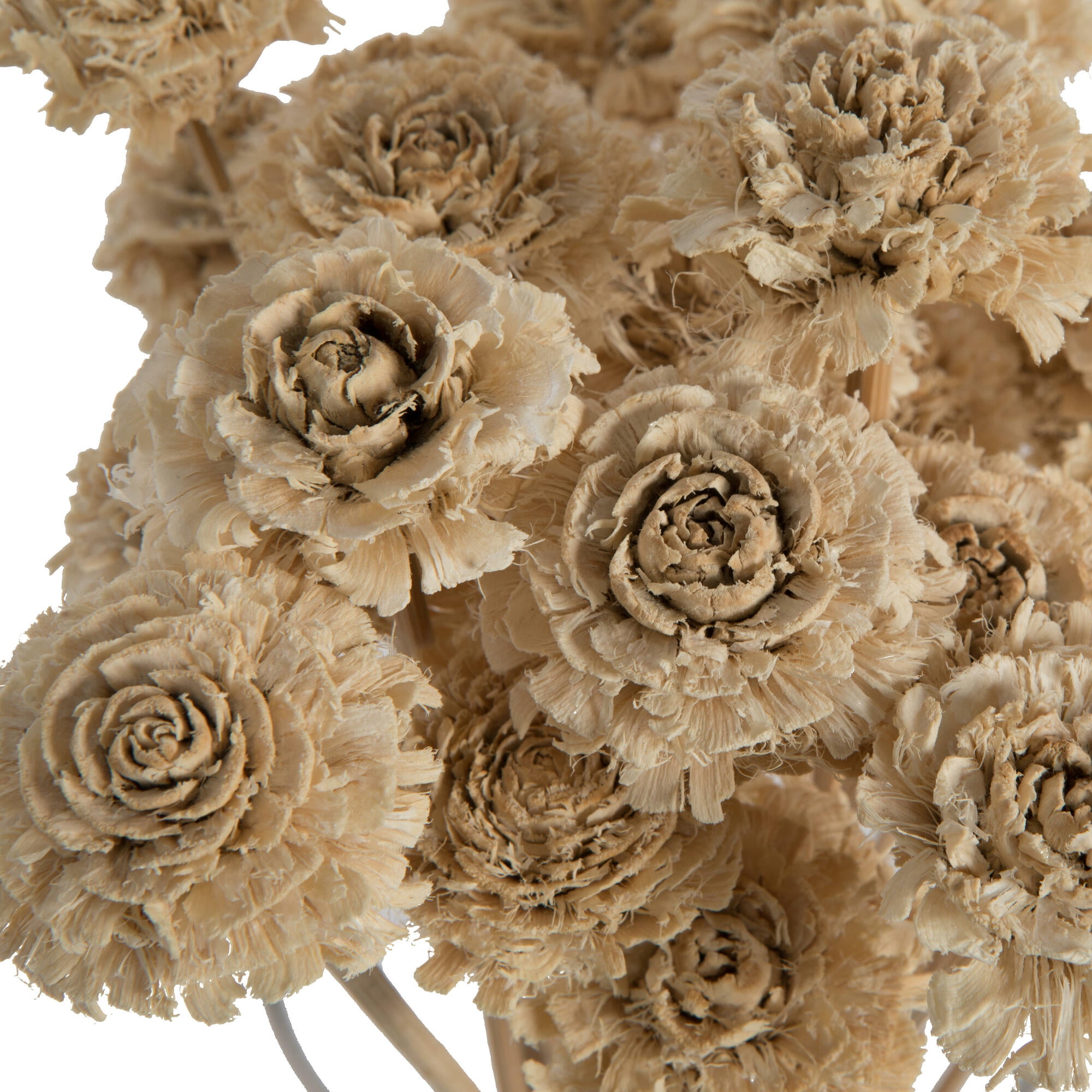 Vickerman Natural Botanicals 1.3"-1.75" Cedar Rose, Bleached on Stem. Includes 50 pieces per polybag.