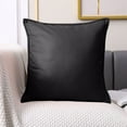 thumbnail image 4 of Pillow Case with Insert - Summer Soft Cushion for Living Room, Bedroom & Outdoor, Durable Home Decor Pillow, Perfect 2026, Valentine's Day & Easter Sofa & Bed Festive Accent, 17.7*17.7in, Black, 4 of 6