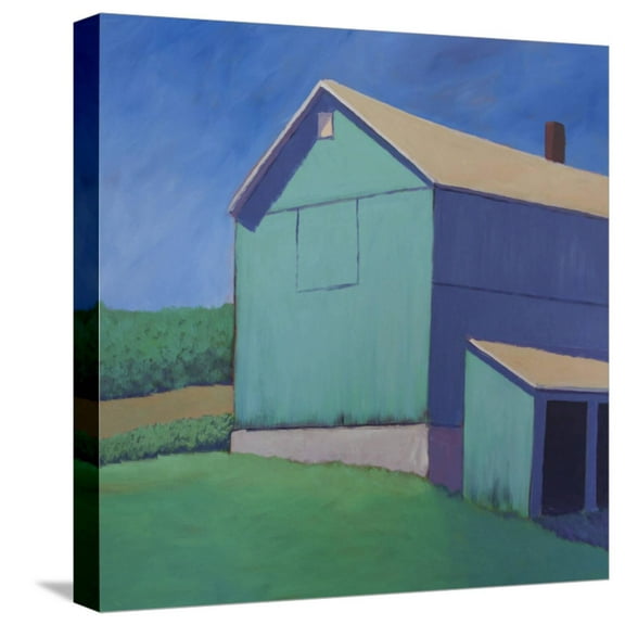 Art.com Rustic Teal Stretched Canvas Print Wall Art by Carol Young, 16" x 16"