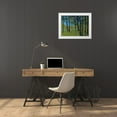thumbnail image 3 of Bailey, Paul 24x19 White Modern Wood Framed Museum Art Print Titled - Forest Brook, 3 of 4