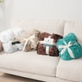 thumbnail image 3 of PAVILIA White Fluffy Throw Blanket for Couch, Fuzzy Blanket for Women Men, Furry Plush Warm Blanket Bed Sofa, Super Soft Thick Faux Fur Sherpa Blanket Throw, 50x60, 3 of 9