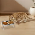 thumbnail image 5 of Elevated Cat Bowls with Stand - Double Bowl Stainless Steel Feeder for Cats and Dogs 15 Inclined Design for Food and Water, 5 of 5