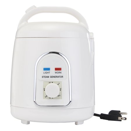 110V/220V 1.8 L White ABS Plastic Portable Home Steam Pot Steamer Saunas Generator US/EU