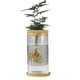 thumbnail image 2 of Jarrón de vidrio hidropónico creativo, micropaisaje transparente, decoración ecológica para pecera, arreglo floral con plantas hidropónicas de rábano verde, manualidades, 2 of 6