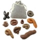 thumbnail image 2 of 10pcs/bag Fake Poop Feces Pranks Toys Halloween April Fools Day Party Trick Toy, 2 of 4