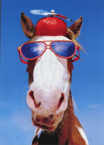 Hat And Sunglasses Funny Birthday Card 