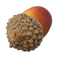 thumbnail image 4 of 50Pcs Artificial Fake Acorn Nutty Plant Home Party Christmas Autumn&Winter Decor, 4 of 9
