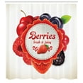 thumbnail image 3 of Fruit Shower Curtain, Cherry Blueberries Raspberry and Strawberry Composition Healthy Ingredients Summer, Fabric Bathroom Set with Hooks, 69W X 84L Inches Extra Long, Multicolor, by Ambesonne, 3 of 3