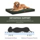 thumbnail image 2 of Cama exterior para perros Tail Stories impermeable para perros medianos, 2 of 6
