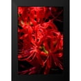 thumbnail image 2 of Hausenflock, Alan 13x18 Black Modern Framed Museum Art Print Titled - Hurricane Lily, 2 of 5