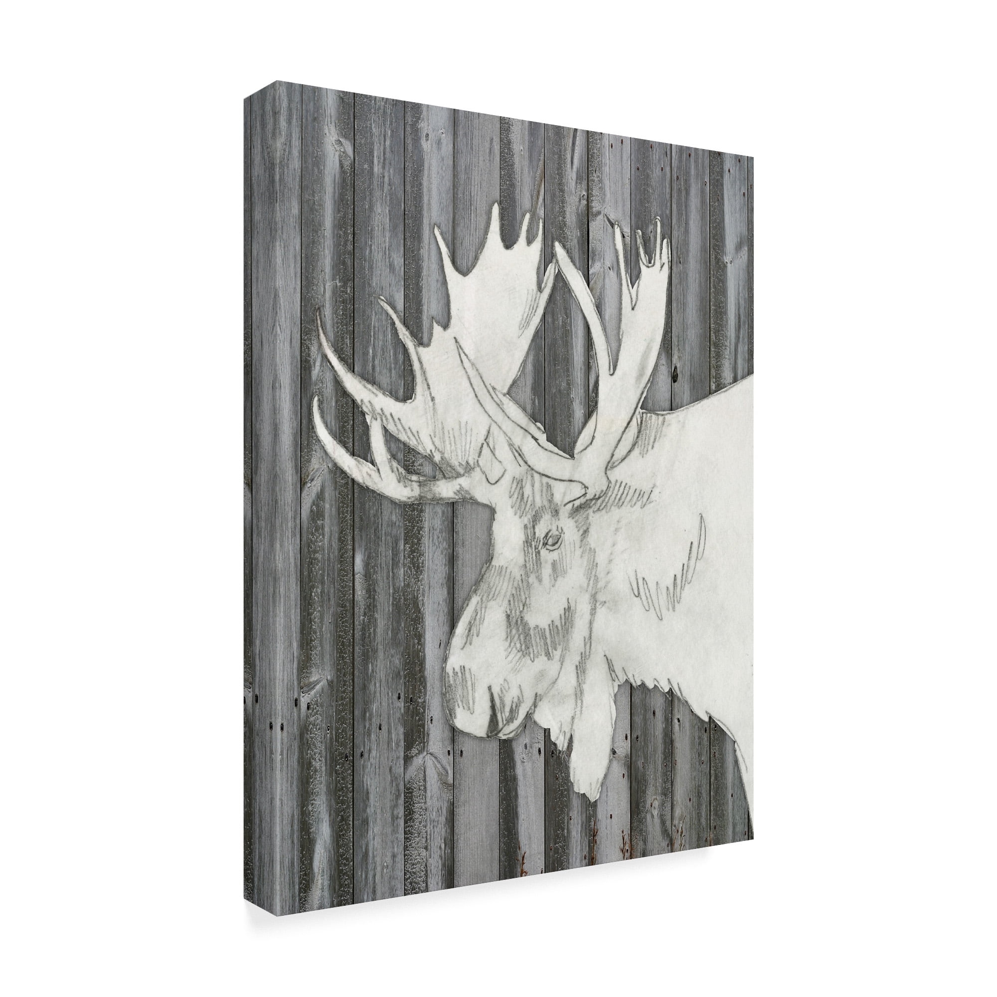 Trademark Fine Art 'Barnwood Lodge Sketch I' Canvas Art by Jennifer Goldberger