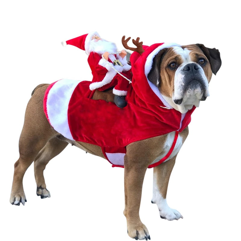 large dog christmas costumes