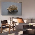 thumbnail image 6 of Leopard Tortoise Turtle South Africa Canvas Poster Bedroom Decor Sports Landscape Office Room Decor Gift,Frame-style,20x30inch(50x75cm), 6 of 8