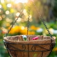 thumbnail image 2 of Ashman 16-Inch Metal Hanging Planter Basket with Coco Coir Liner, Round Wire Plant Holder, Indoor Outdoor, 4-Pack, 2 of 9