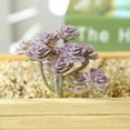 thumbnail image 3 of Visland Artificial Succulents, 5PCS Fake Succulents, Realistic Faux Mini Succulent Plants for Terrarium Greenery Outdoor and Indoor Arrangements, Faux Succulent Flower Arrangement, 3 of 3