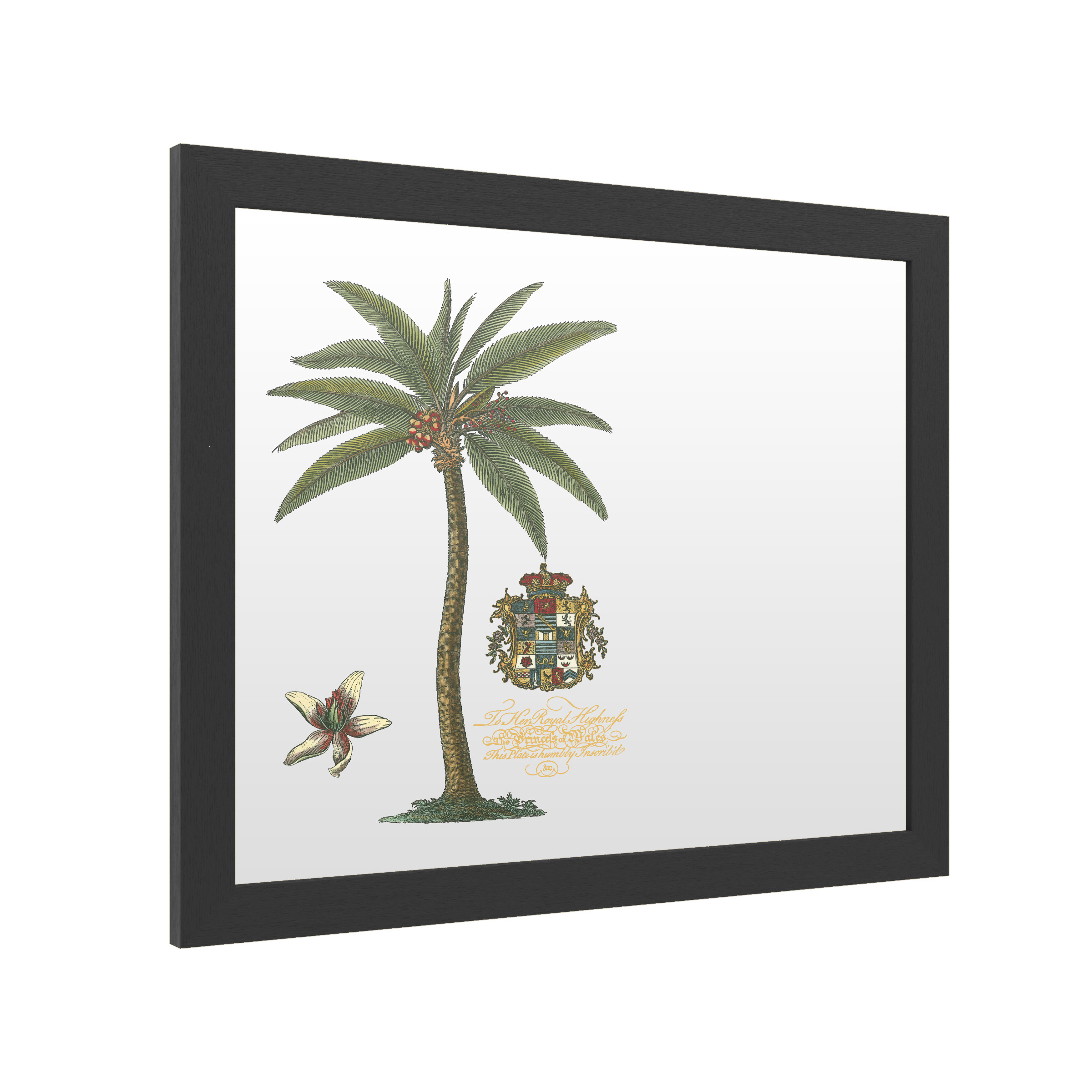 Trademark Fine Art 'Palm On Black I' Markerboard by Unknown