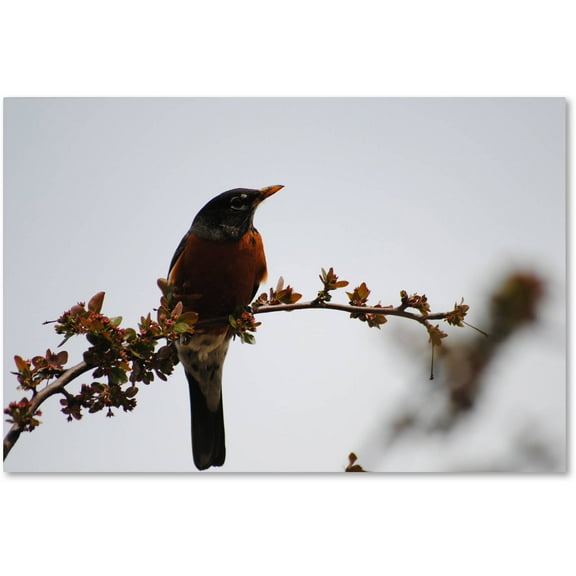 Trademark Fine Art "Guardian" Canvas Art by Monica Mize