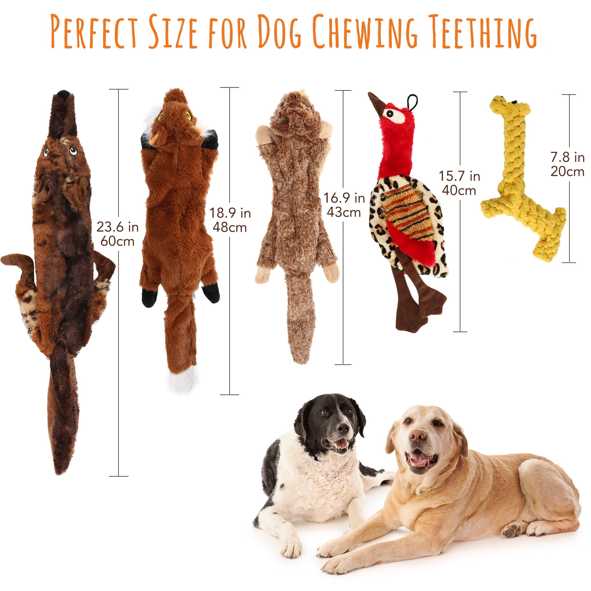 LotFancy 5pcs Dog Squeaky Toys for Small Medium Dog, No Stuffing
