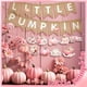 thumbnail image 4 of Baby Shower de Banner VitalCozy con forma de calabaza rosa otoñal, 4 of 6