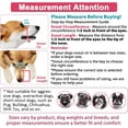 thumbnail image 2 of Dog Muzzle Anti Biting Barking and Chewing with Comfortable Mesh Soft Fabric and Adjustable Strap, Suitable for Small, Medium and Large Dogs, 2 of 8