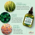 thumbnail image 2 of Difeel Rosemary and Mint Root Stimulator with Biotin 2.5 oz., 2 of 9