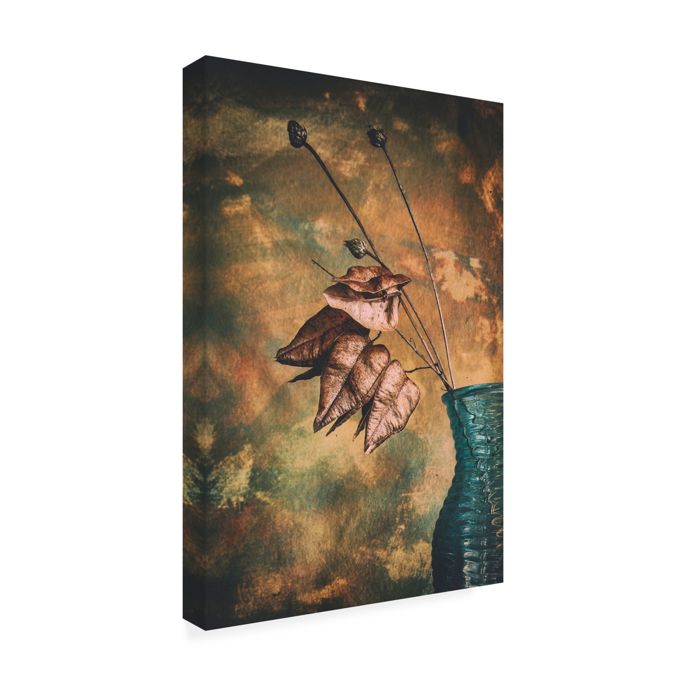 Canvas Wall Art - Cicek Kiral 'Split' Wall Art for Living Room, Bedroom, or Office Décor by Trademark Fine Art - 16 x 24 Inches