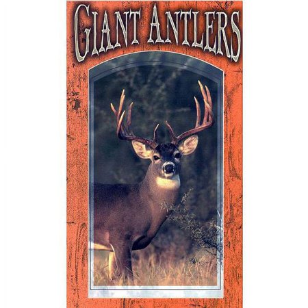 Giant Antlers