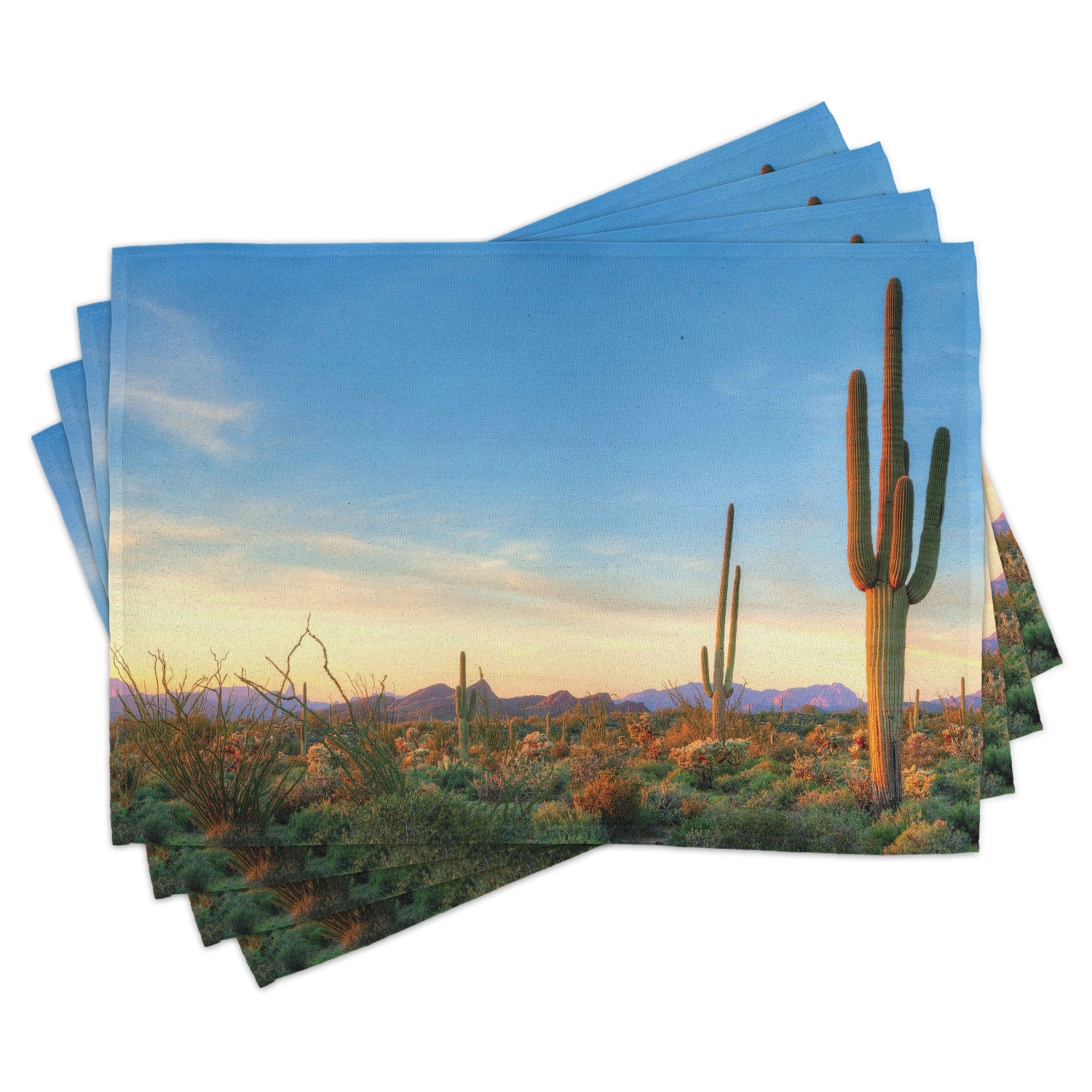 Desert Placemats Set of 4 Sonoran Desert Catching Days Last Rays