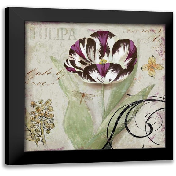 Wilson, Aimee 12x12 Black Modern Framed Museum Art Print Titled - Tulipa II