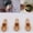 1Pcs, variant on Natural Wooden Coffee Tea Sugar Salt Powder Spoon Scoop Kitchen Utensil Tool