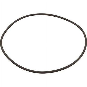 Hayward O-Ring for Filter Head | CXFHR1001 – Pool Goods