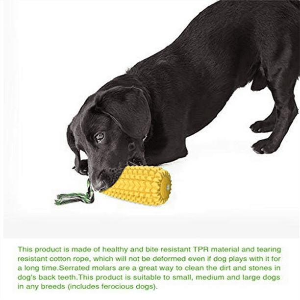 Dog chew toys walmart hotsell