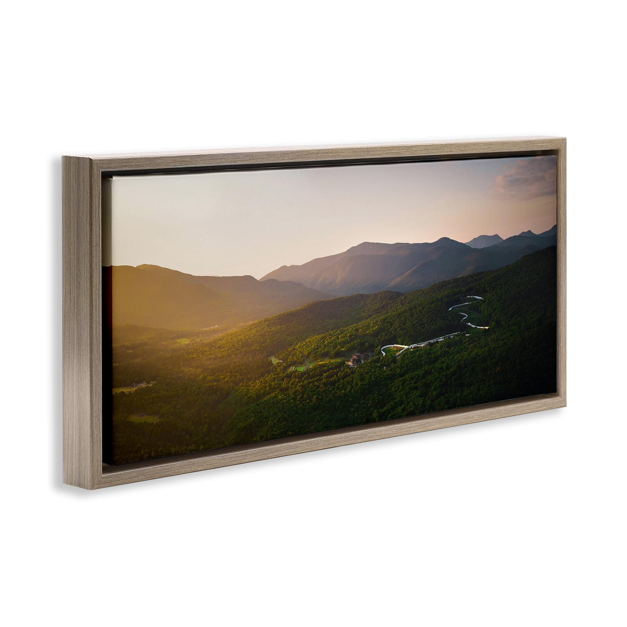 Stupell Industries Winding Road Through Forested Mountains Brown Framed Floater Canvas Wall Art, design by Jonathan Zaharek