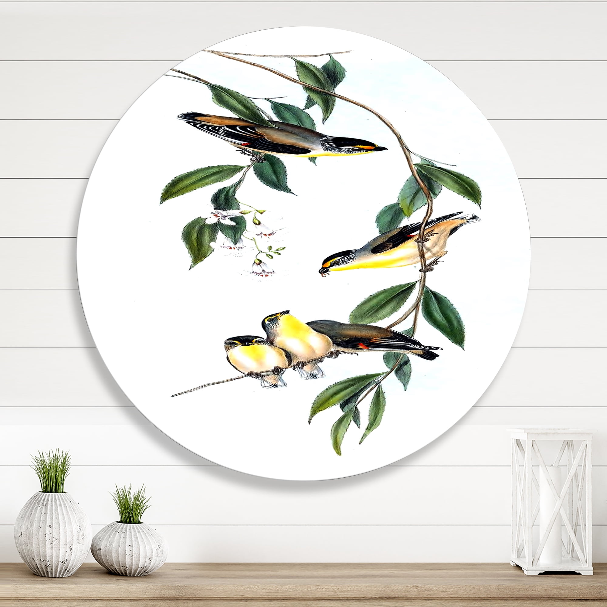 Designart 'Ancient Bird III' Traditional Circle Metal Wall Art 11x11 - Disc of 11