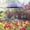 G, variant on MOAOASPER 25.6in Plant Shade Umbrella,Outdoor Garden Parasol With H Stake,Sun Protection For Flowers Vegetables,Patio Yard Decoration